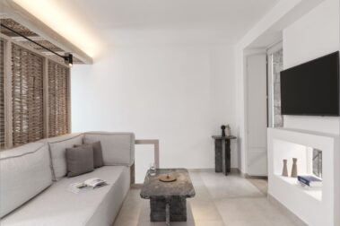 CANAVES EPITOME (10)